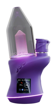 Grape Color Carta 2 Focus V