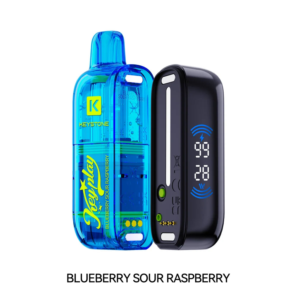 BLUEBERRY SOUR RASPBERRY VFEEL KEY PLAY 40K DISPOSABLE VAPE