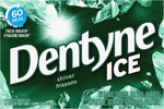 Load image into Gallery viewer, DENTYNE
