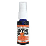 Load image into Gallery viewer, SCENT BOMB - CAR AIR FRESHENER SPRAY
