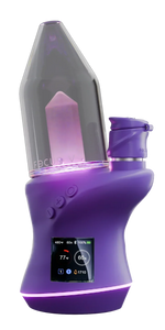 Load image into Gallery viewer, Grape Color Carta 2 Focus V
