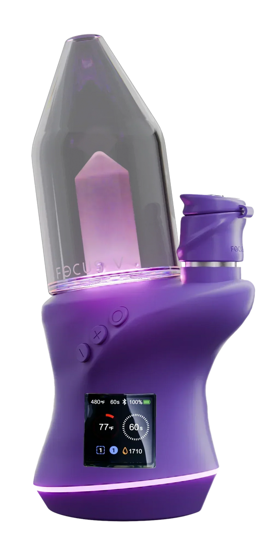 Grape Color Carta 2 Focus V