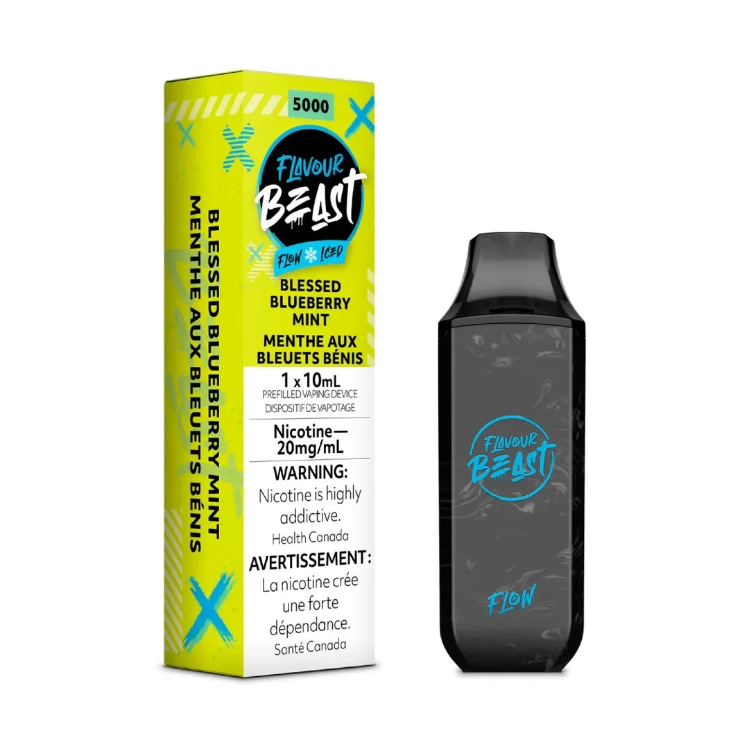 Flavour Beast Flow 5K Blessed Blueberry Mint 20mg