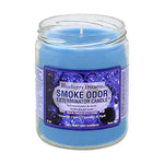 Load image into Gallery viewer, Blueberry Dreamz Fragrance Candle of Smoke Odor
