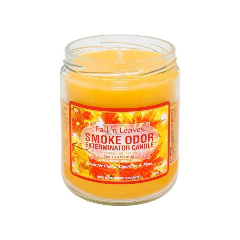 Fall n Leavers Fragrance Candle of Smoke Odor