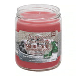 Load image into Gallery viewer, Sugared Cranberry Fragrance Candle of Smoke Odor
