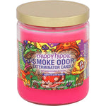 Load image into Gallery viewer, Trippy Hippie Fragrance Candle of Smoke Odor
