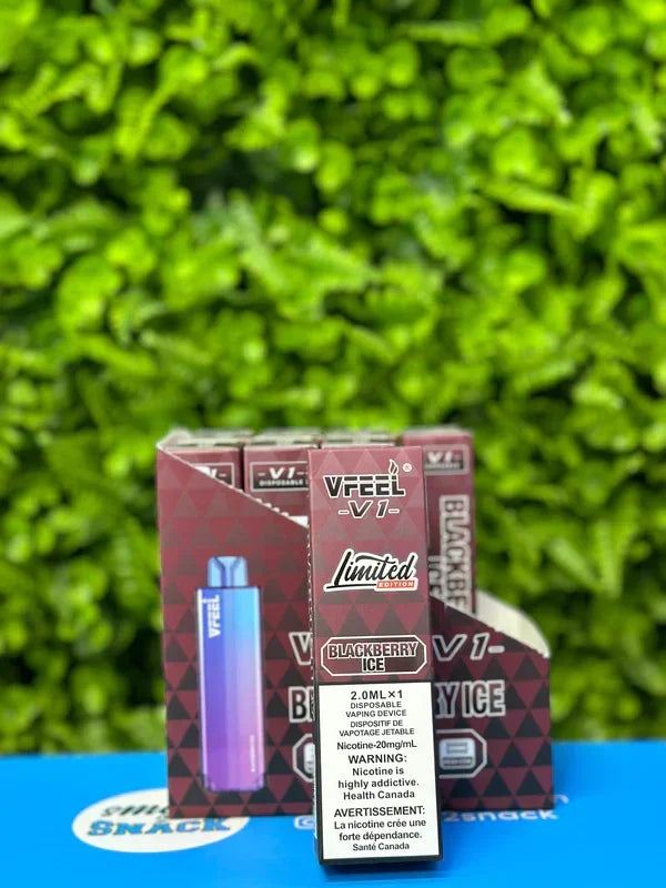 Blackberry Ice of Vfeel V1 6K puff Disposable vape